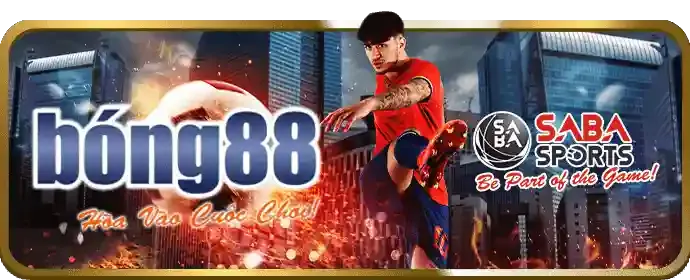 Chương trình VIP và phần thưởng độc quyền SGD777